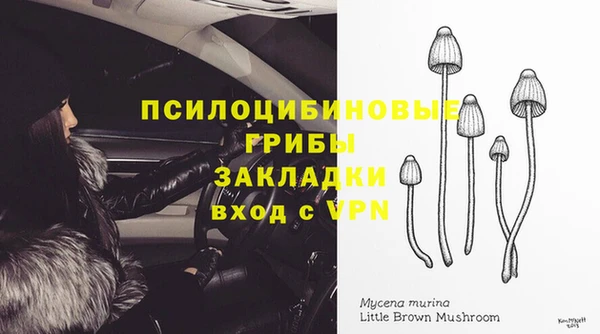 мет Новодвинск