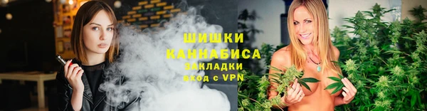 шишки Новозыбков