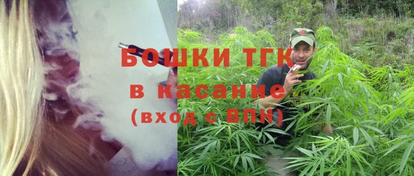 шишки Новозыбков