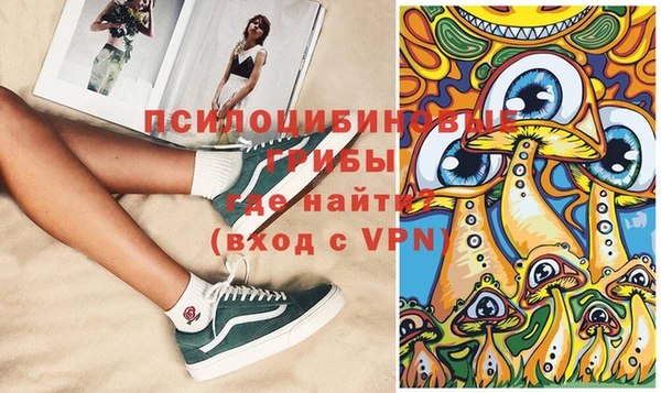 шишки Новозыбков