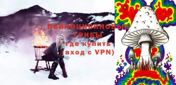 МДПВ Видное