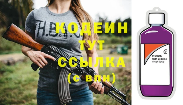 шишки Новозыбков