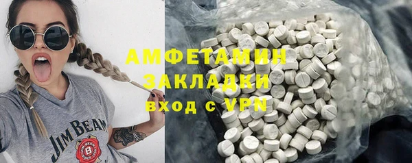 шишки Новозыбков