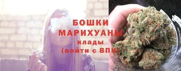 шишки Новозыбков